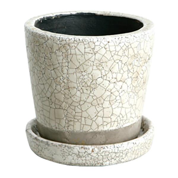 �_���g�� DULTON �O���[�Y�h�|�b�g S �A�C�{���[ CH15-G527IV ����s��