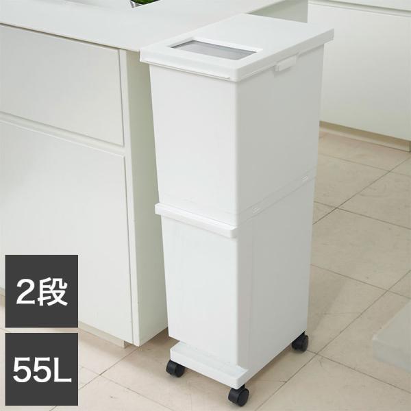 VP j[h ʃX2i 55SWH S~ RpNg  55L zCg s