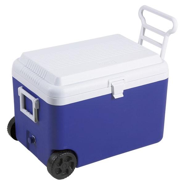 CAPTAIN STAGiLveX^bOj zC[N[[60Liu[j M5060 AEghA