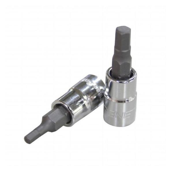 SIGNET �V�O�l�b�g 21885 1/4DR 5MM �w�b�N�X�r�b�g�\�P�b�g ����s��