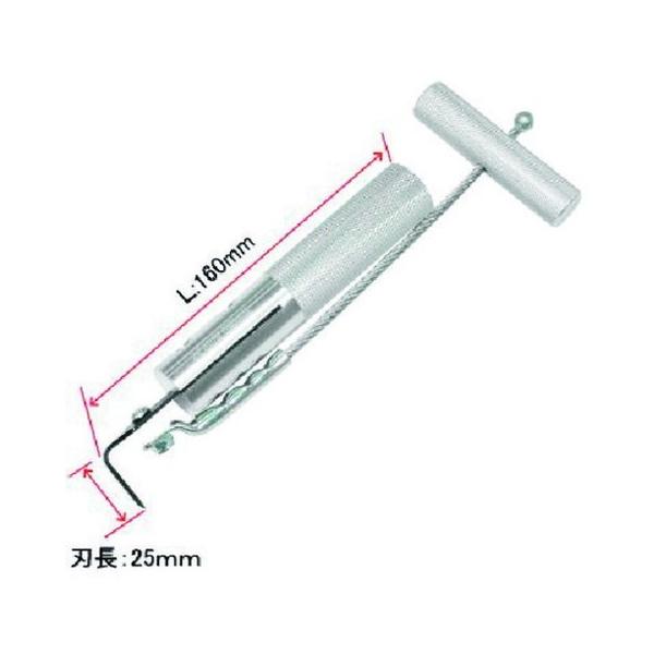 AXgv_Nc EBhV[h[o[ 2007000013090 s