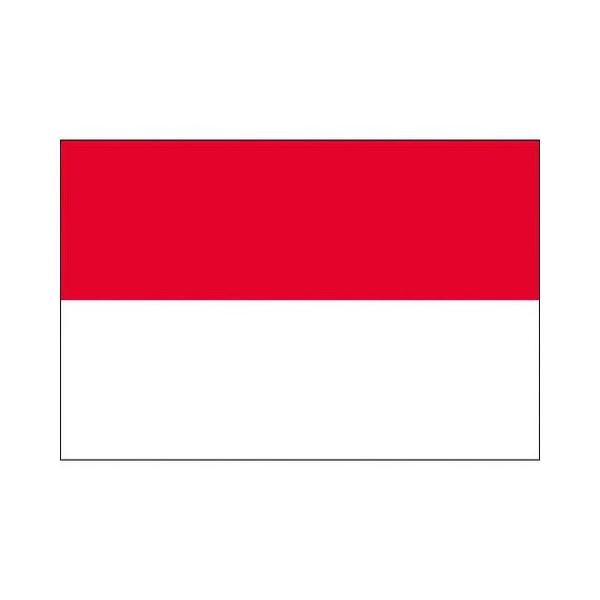  No.1 70×105cm ChlVA 416129 s