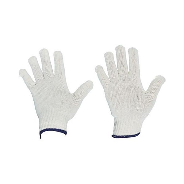 TRUSCO gXR ȌR 10o ڕt600g TCG60010P s