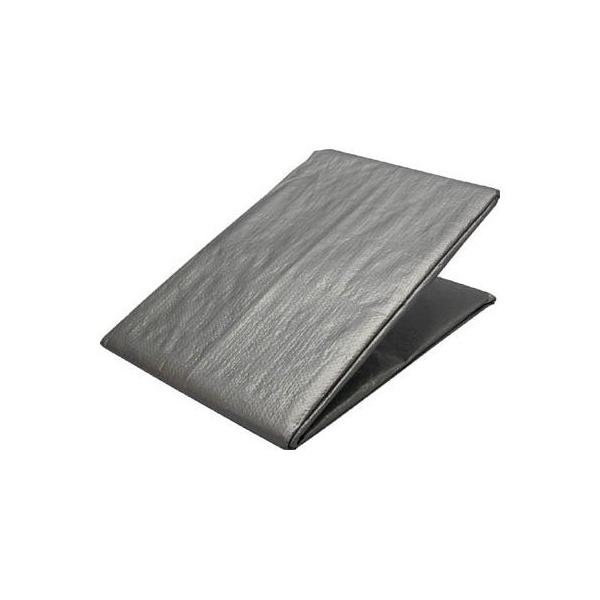 ���^�J �V�[�g #3000�V���o�[�V�[�g 2.7×3.6 SL3005 ������s��