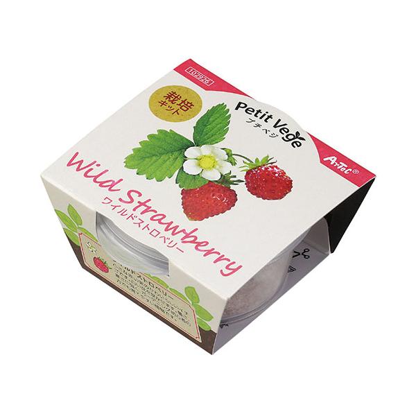 [Release date: January 30, 2023]【商品説明】初心者でも簡単に育てられるミニサイズの栽培キット【商品詳細】商品サイズ:65x70x33mmセット内容:プラ容器、圧縮土、種重量:18g材質:土,PP,種(ワイルド...