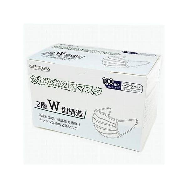 TENKAPAS 2w}XN 100 M[TCY mask06 s