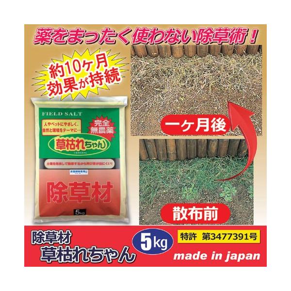   ͂ꂿ 5kg 801544