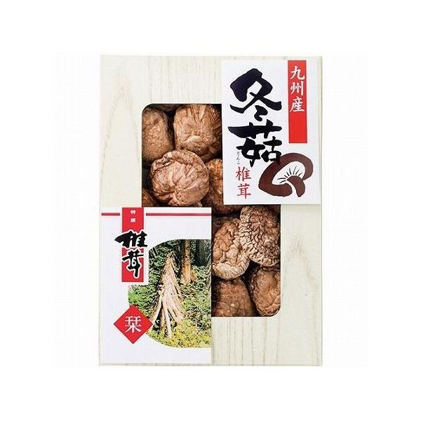 BY؂ǂ񂱒őSPD-20 2671-012 s