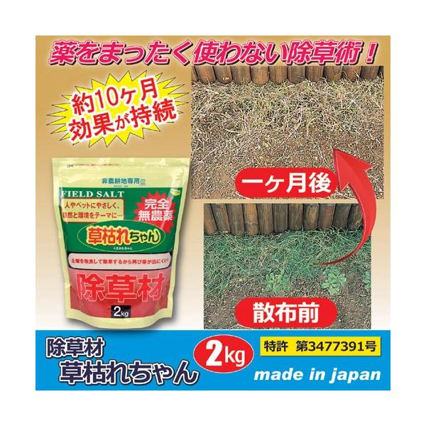 㓡  ͂ꂿ 2kg 8703691