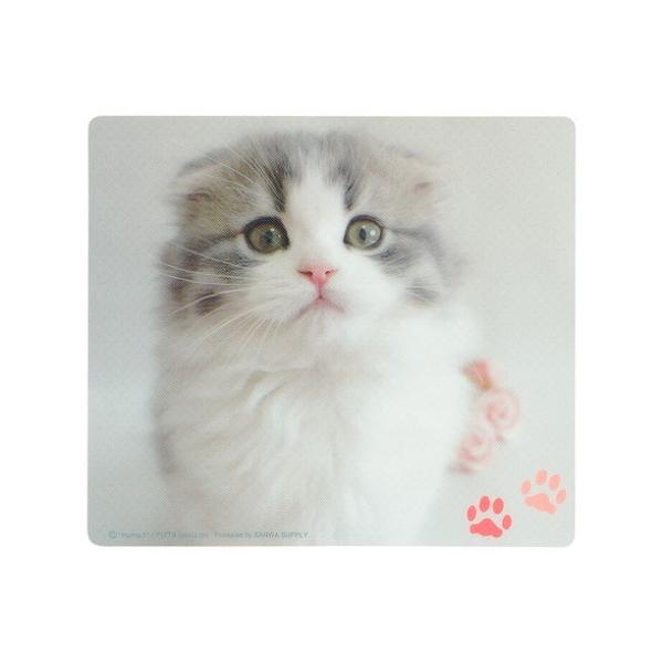 TTvC }EXpbh XReBbVtH[h MPD-215E s [