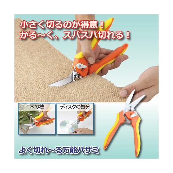 Z[uEC_Xg[ 悭؂~閜\nT~ 807144 s [