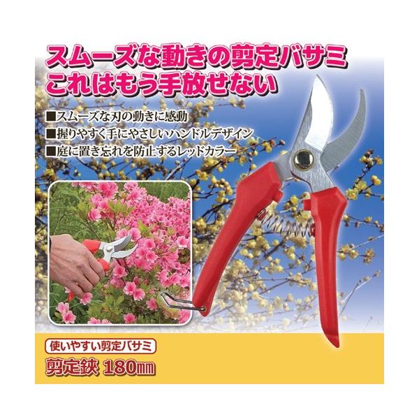 WXe g₷oT~  180mm 811812 811812 G zr[ CeA s [