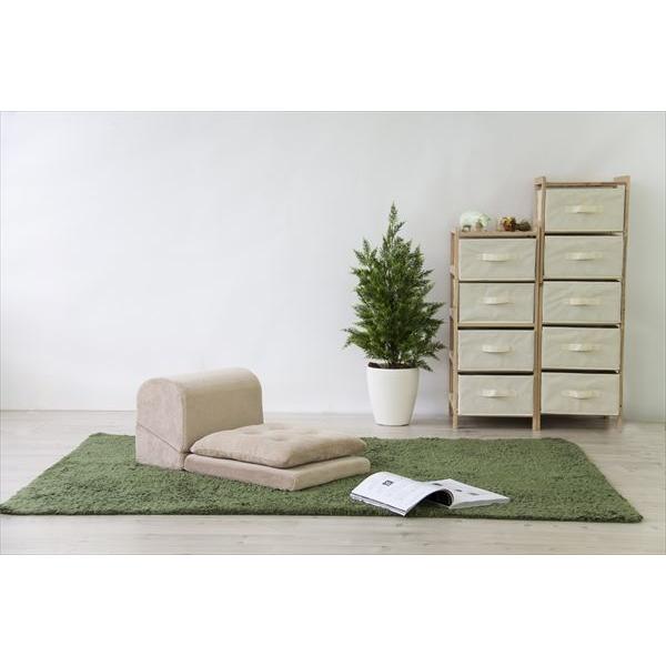 TV܂ S FCC-119 x[W uE(s)