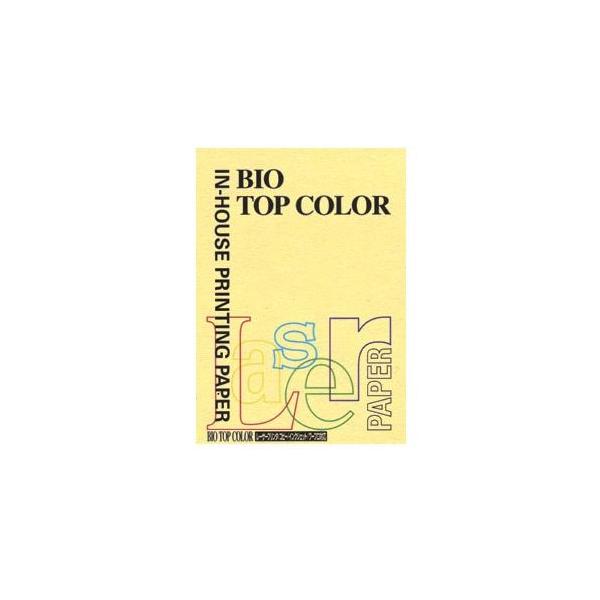 ɓ oCIgbvJ[PPC A4 CG[ 1  BT103 [ ItBX pi