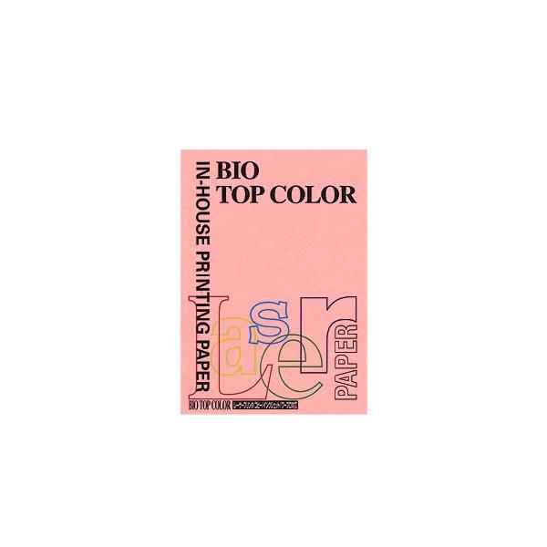 ɓ oCIgbvJ[PPC A4 sN 1  BT104 [ ItBX pi