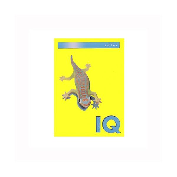 ɓ oCIgbvJ[PPC A4 Ji[CG[ 1  BT512 [ ItBX pi