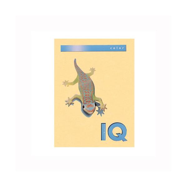 ɓ oCIgbvJ[PPC A4 T[ 1  BT515 [ ItBX pi