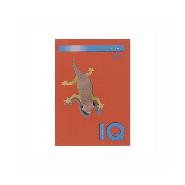 ɓ oCIgbvJ[PPC A4 ubNbh 1  BT519 [ ItBX pi