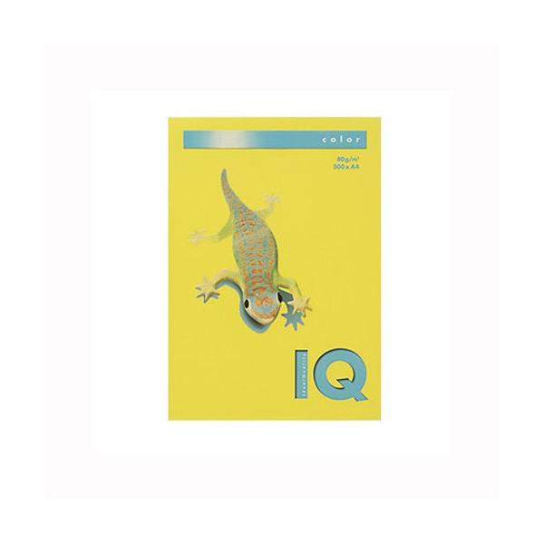 ɓ oCIgbvJ[PPC A4 }X^[h 1  BT529 [ ItBX pi