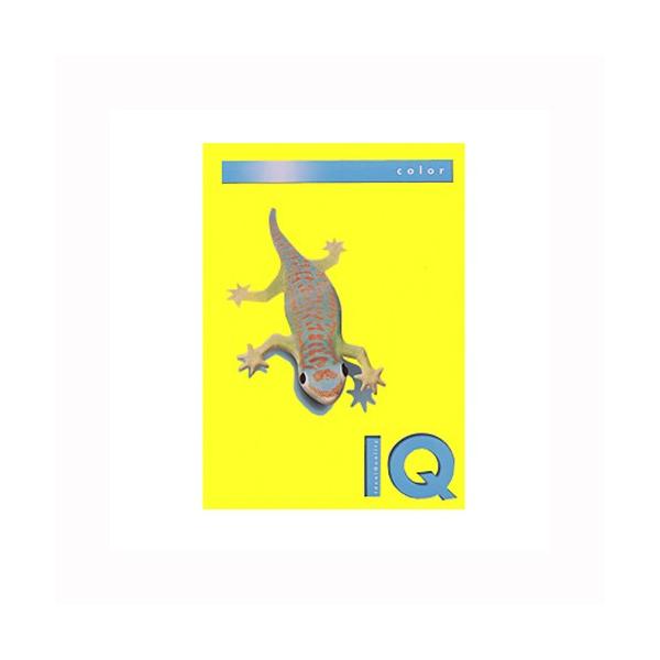 ɓ oCIgbvJ[PPC A4 Ji[CG[ 1  BT712 [ ItBX pi