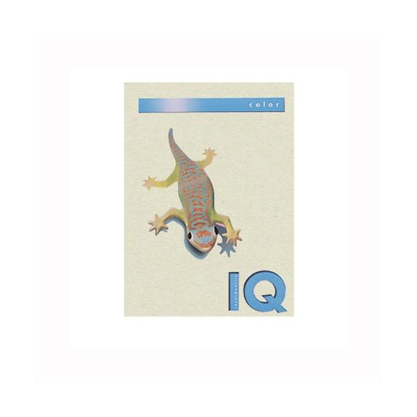 ɓ oCIgbvJ[PPC A4 O[ 1  BT809 [ ItBX pi