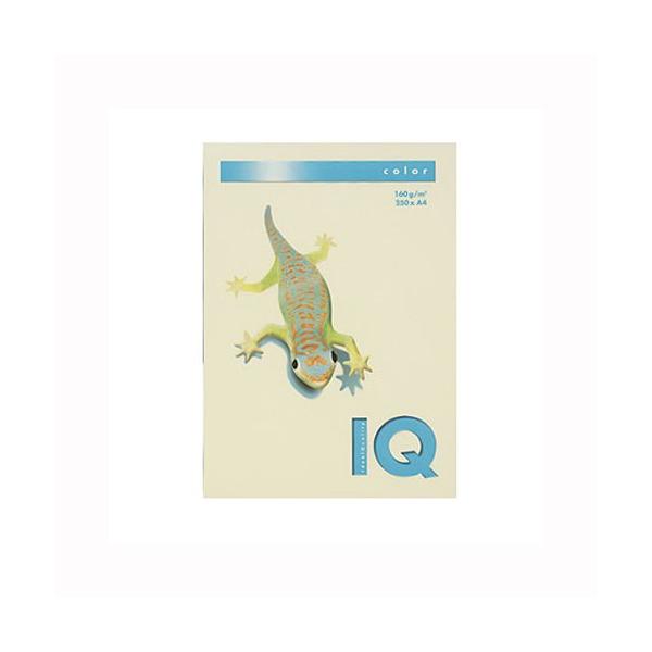 ɓ oCIgbvJ[PPC A4 oj 1  BT830 [ ItBX pi