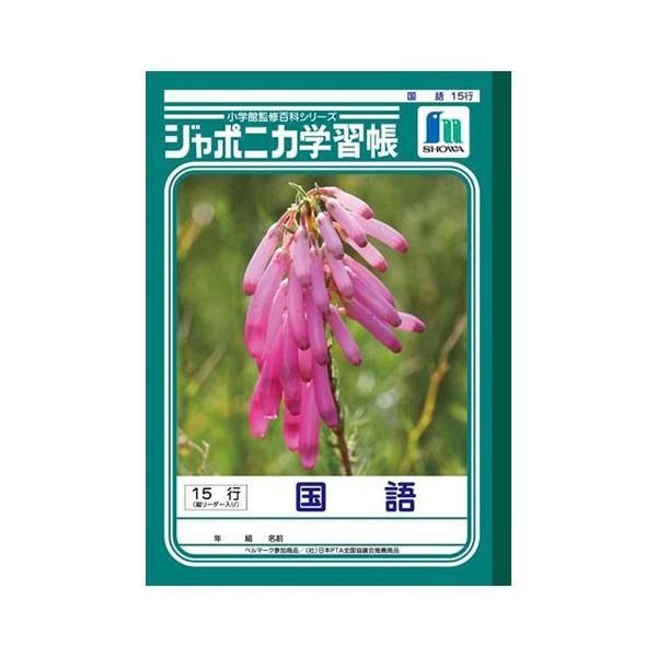 VEm[g W|jJwK  15s c[_[ 1  JL-13 [ ItBX pi