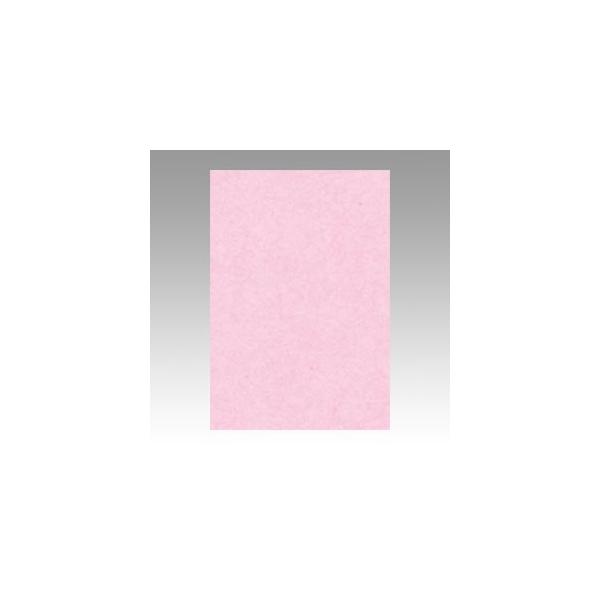 ^ Fp j[J[ 8  1  8NCR-218 [ ItBX pi