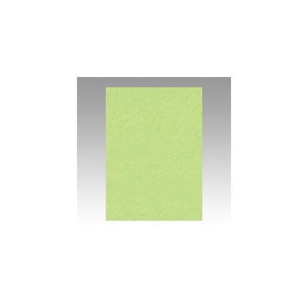 ^ Fp j[J[ 4 킩 1  4NCR-243 [ ItBX pi