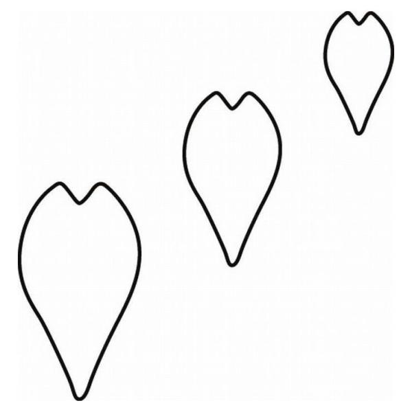  ̐ ̉Ԃт  #1 077124