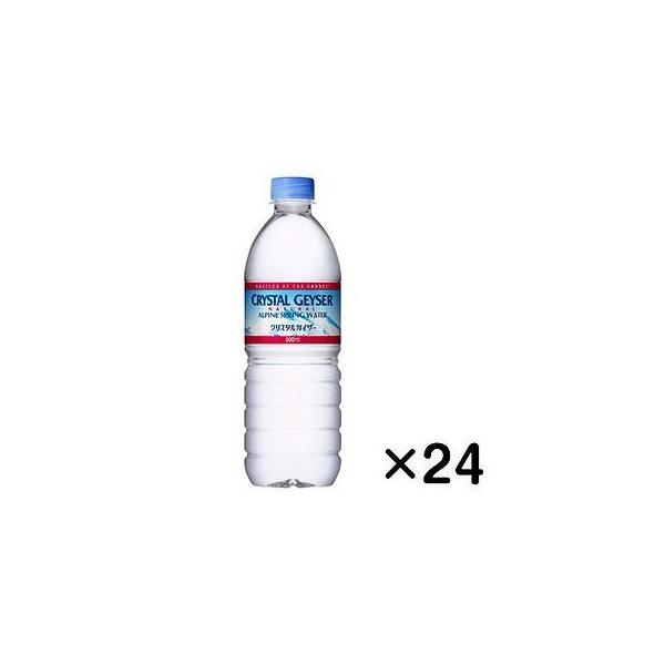 NX^KCU[ ApCXvOEH[^[ ybg{g 500mL×24{ 029103894