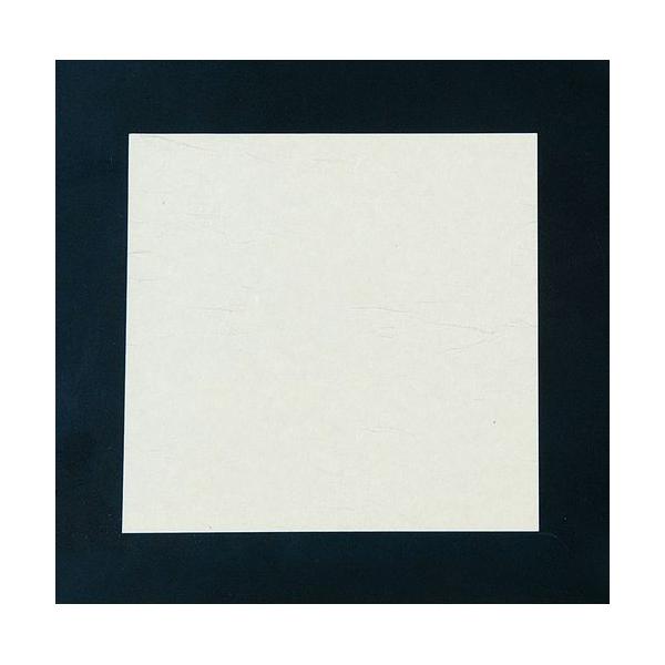 A[ebN j[lG 4(100) NS-68 n QKIG901