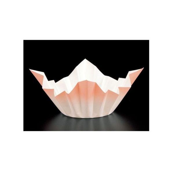 I Fa(250) F SKA144 QNB4601