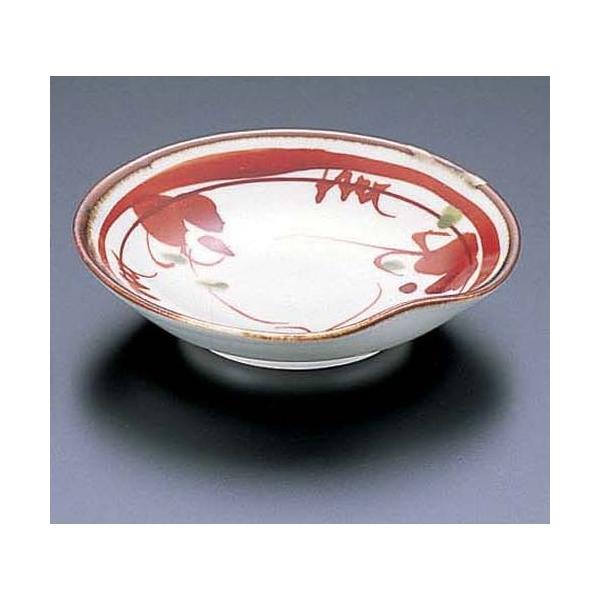 GYWp ÐԊGԂǂM T05-48 RTLI401