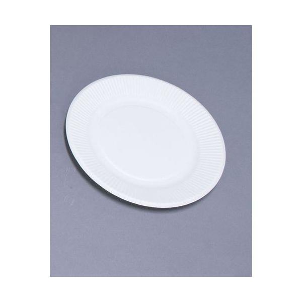 y[p[EFA X^_[hv[g(100) No.8 181923 GST1604