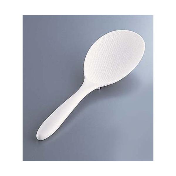 AKEBONO(AP{m) PP 19cm BSY4401