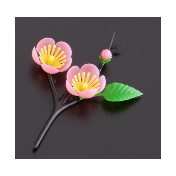 n veBt[ S-15 ̉ (300) XPL11