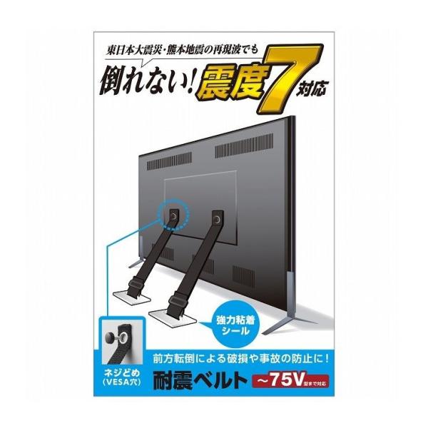 GR ϐkxg lWǂ TS-006N s