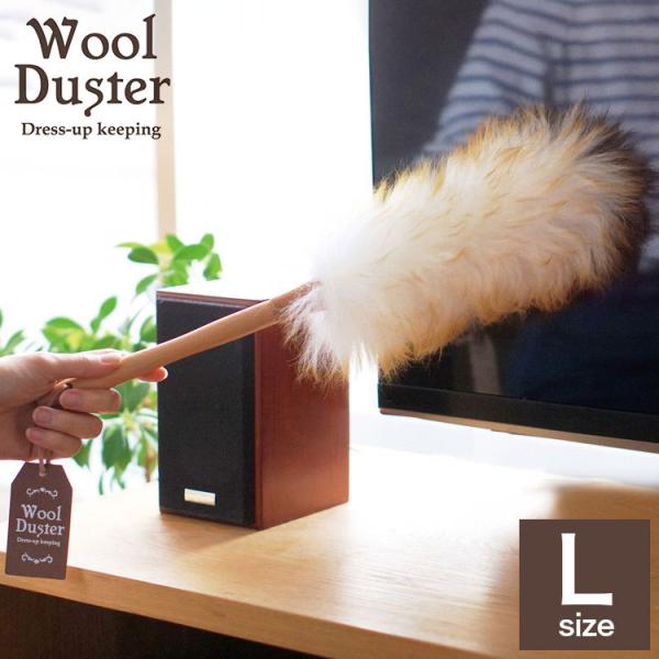 E[_X^[ rт͂ LTCY VRr VR E[ 100% ق ق蕥 nfBbv nfBCp[ t {v Ђt