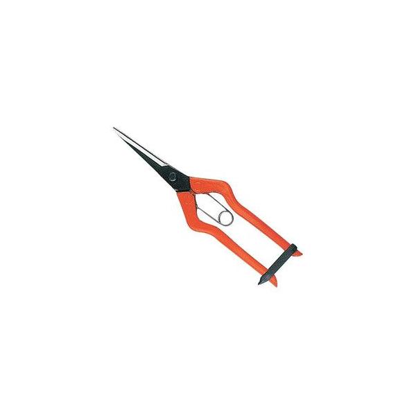 `J}TEOET-570 |FFn