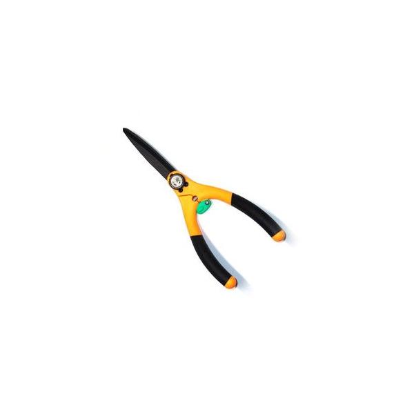 T{eEŐENO.1580 |FF̑2