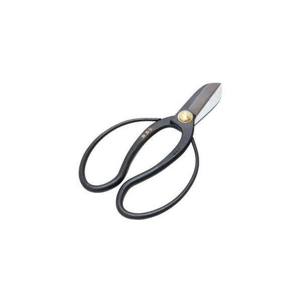 g]E×E165MM |FFA؁E~