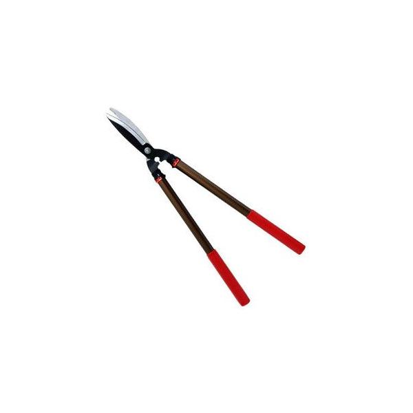 E|ValueELk͌^EEG-1000 |FFLk