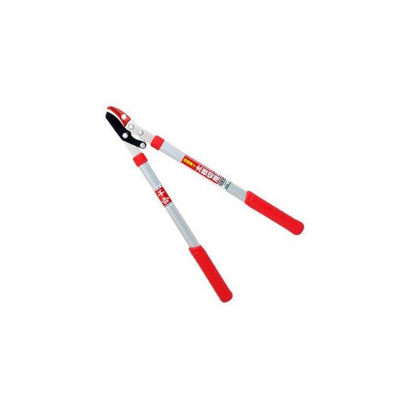 gEpCv~j}ESGFL-1 |FF}