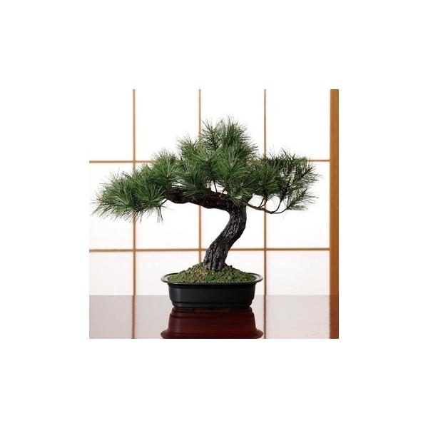 ~ AW xm̏  xm ~j ~ 荠 v`  ϗtA A ~ ̖~ Zbg Ï ~͔ s