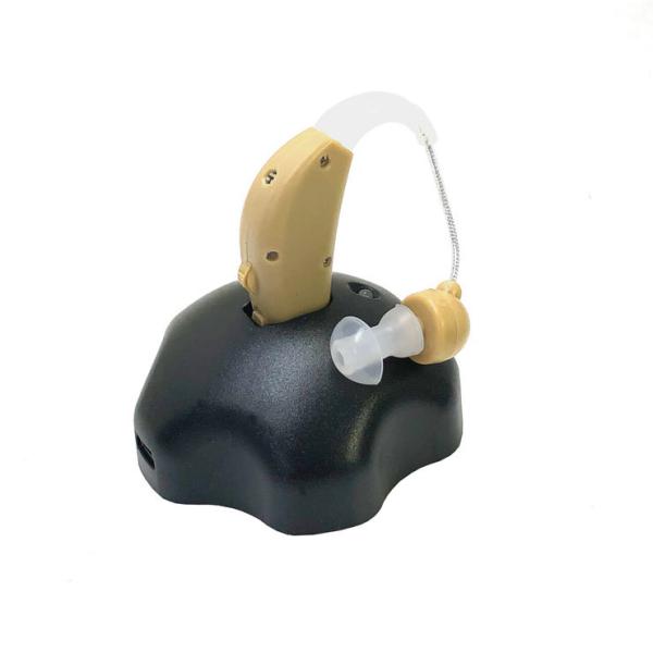 ^ [dW drsv y Czo ڗɂF ʒ Ή N  v[t s