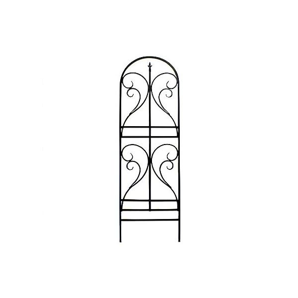 ACAgX tBjA 2g tFX 2Zbg   AeB[N K[f K[fjO  s