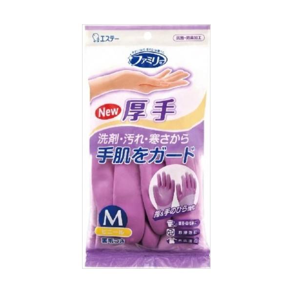 GXe[ t@~[ rj[   w/̂Ђ狭 /|p MTCY p[v s