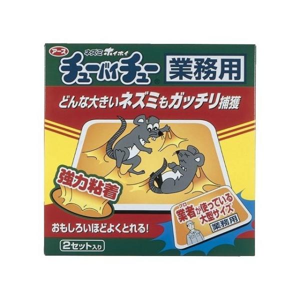 A[X lY~zCzC `[oC`[ Ɩp s