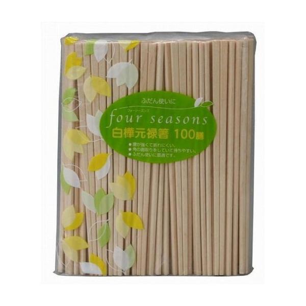 aY tH[V[Y\  100V pi pՕi Gݕi s